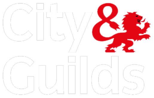 city & guilds qualified